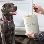 Good Dog Ceramic Treat Jar - Image 5