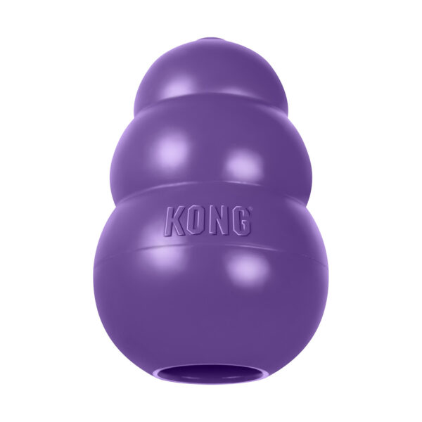 KONG® Senior