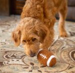 ThoozyPet Football Plush Dog Toy 6.5" - Image 3