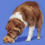 Funfetchi Sniffwich Plush Dog Toy - Image 2