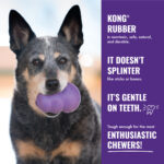 KONG® Senior - Image 4