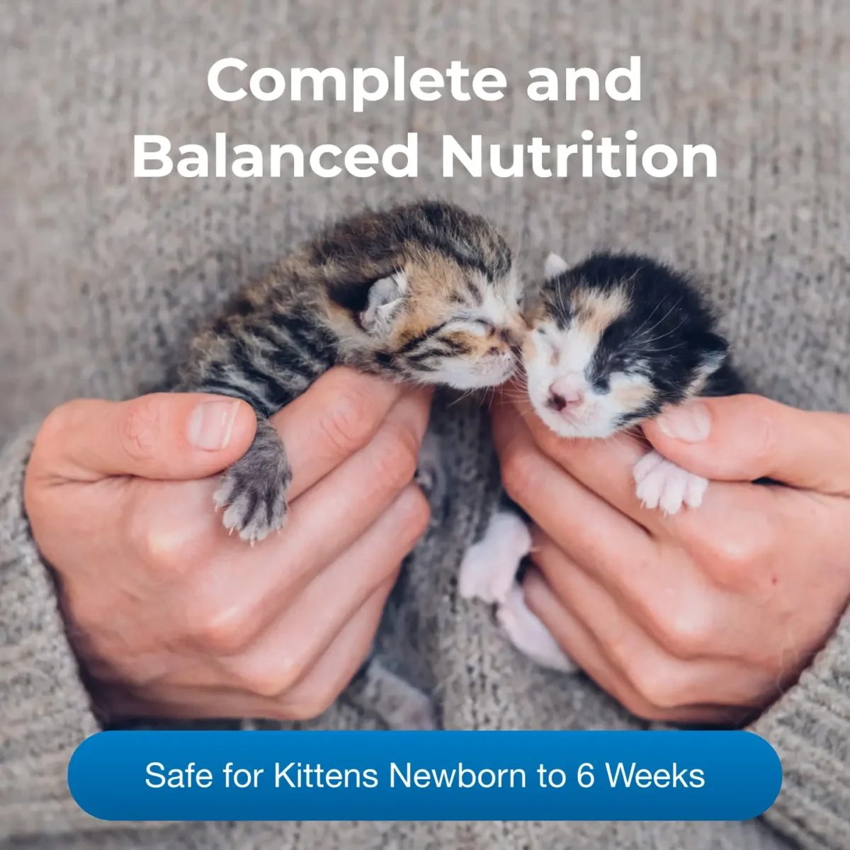 PetAg Kitten Milk Replacer 6oz, 12oz - Image 9