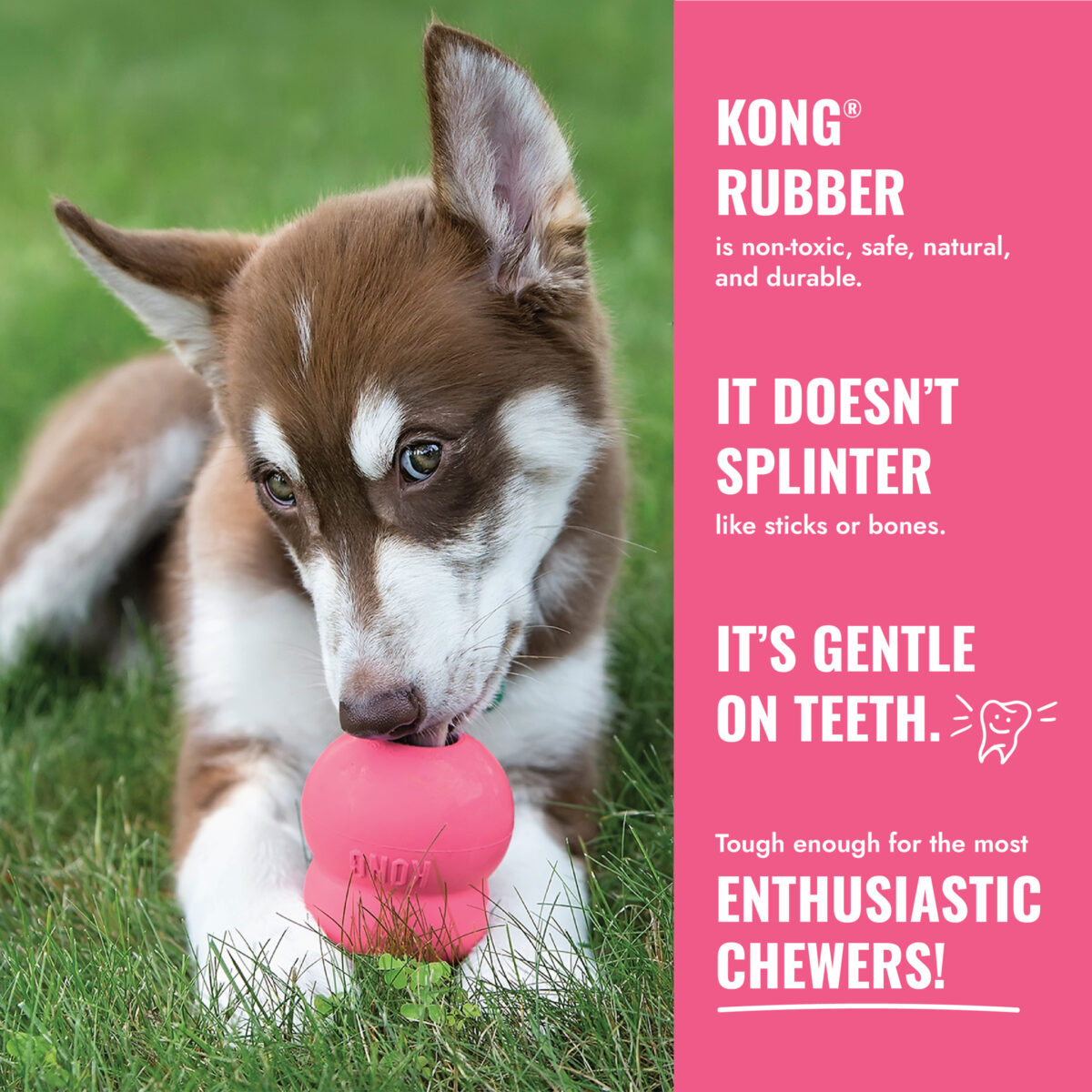 KONG® Puppy Pink - Image 3