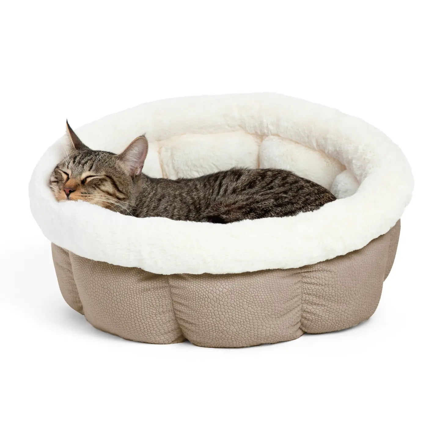8dc145dd990d31e3127c36bd222b24223acf52edc6dbd9dc51dde6a39dc1c1cc Best Friends By Sheri Cuddle Cup - Image 1