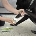Safari® Styptic Powder - Image 4