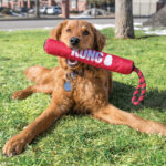 Kong Signature Stick with Rope - Image 2