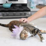 Party Crown with SnugFit® - Image 10