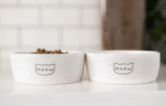Meow Cat Bowl