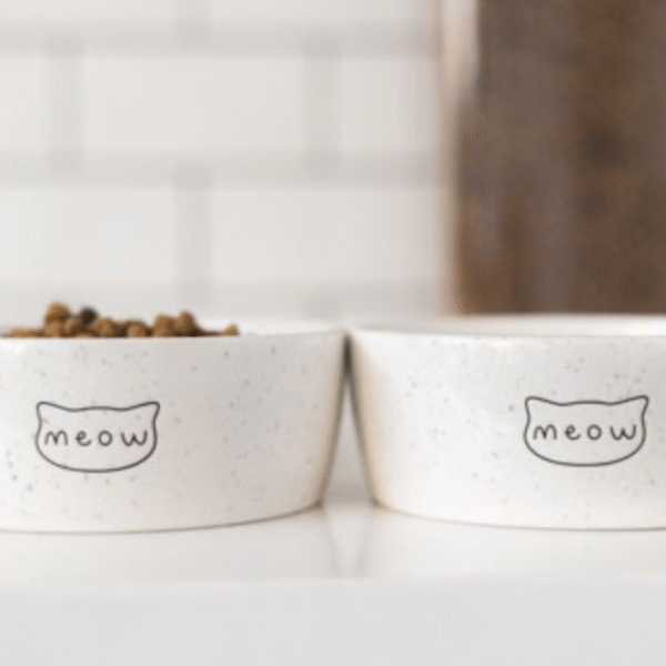 Meow Cat Bowl