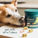 Pupsicle Refill Pops - All-in-1 Health - Image 3