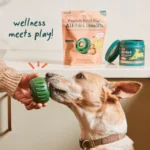 Pupsicle Refill Pops - All-in-1 Health - Image 2