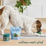 Pupsicle Refill Pops- Joint Health - Image 2
