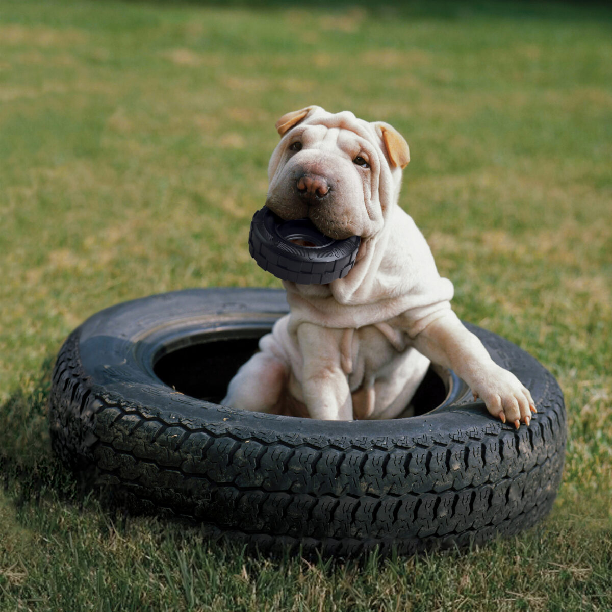 KONG Extreme Tires - Image 3