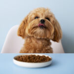 Dog Food