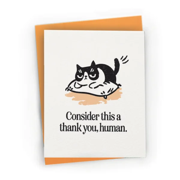 Sarcastic Cat Appreciation - Thank You Greeting Card