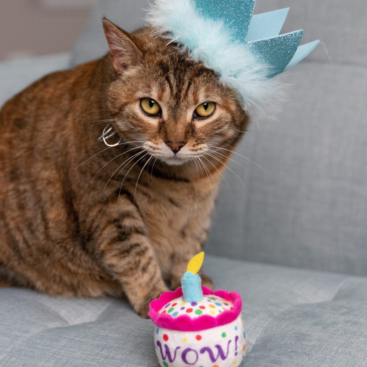 Party Crown with SnugFit® - Image 8
