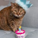 Party Crown with SnugFit® - Image 8