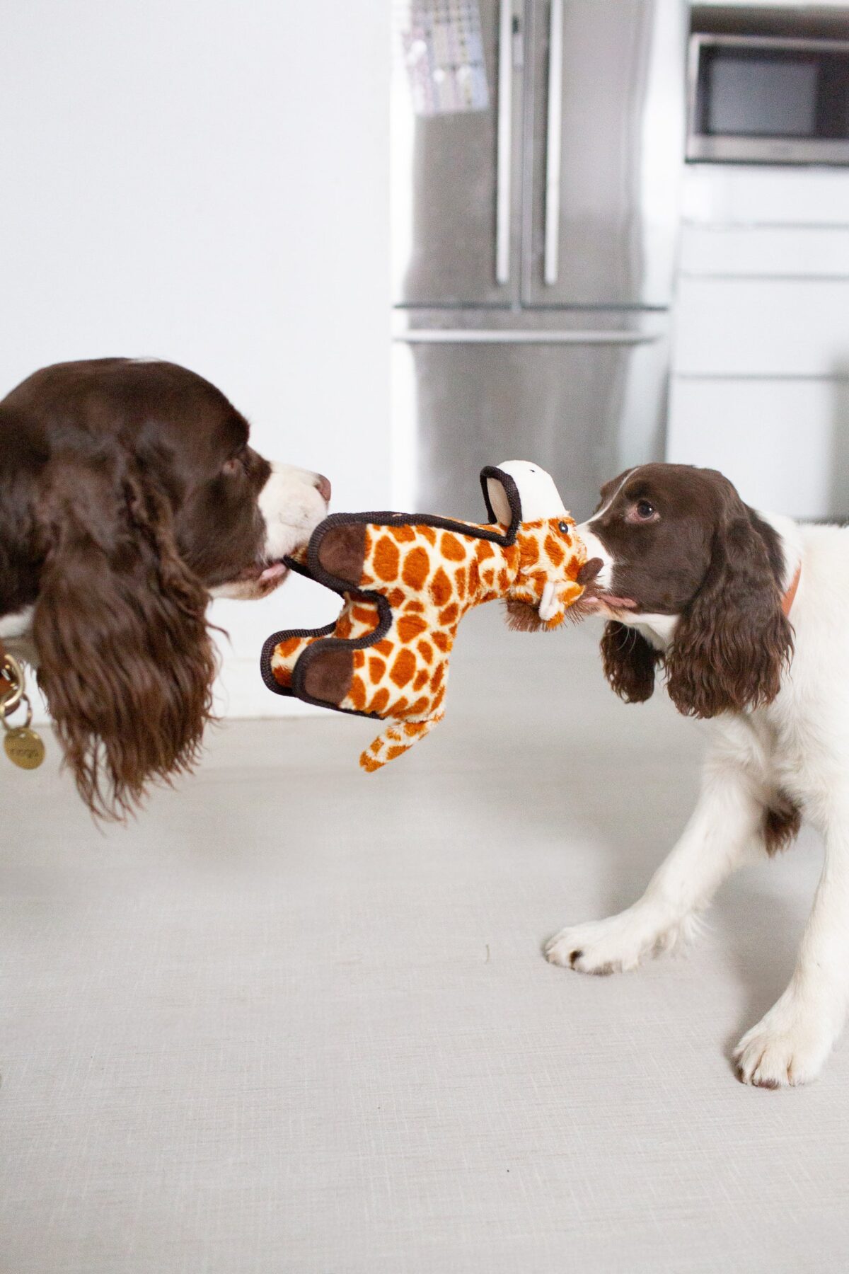 Spunky Pup Mega Tough Plush Giraffe - Image 5