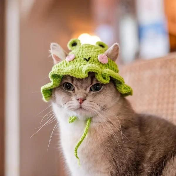 Cute Pet Hat For Small Animals