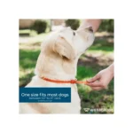 Wondercide Flea & Tick Collar for Dogs One Size - Peppermint Scent - Image 3
