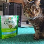Greenies Feline Catnip Dental Treats - Image 9