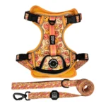 All Smiles - Adventure Harness - Image 6