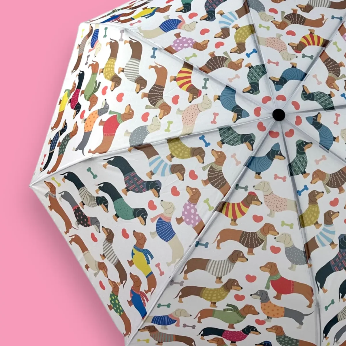 Dachshund Nation Umbrella - Image 2