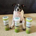 Doggijuana Juananip™ Refill Bottle for Dogs - Image 5
