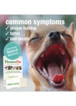 HOMEOPET Doggy Dental 15ml - Image 5
