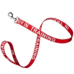 Reflective Nylon IN TRAINING Dog Leash in Red - Image 2