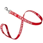 Reflective Nylon IN TRAINING Dog Leash in Red