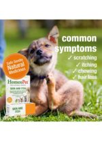 HOMEOPET Skin and Itch 15ml - Image 4
