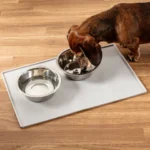 Silicone Mess Free Pet Placemat - Image 3