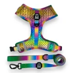 Mystical Haze - Adjustable PU Leather Harness - Image 3