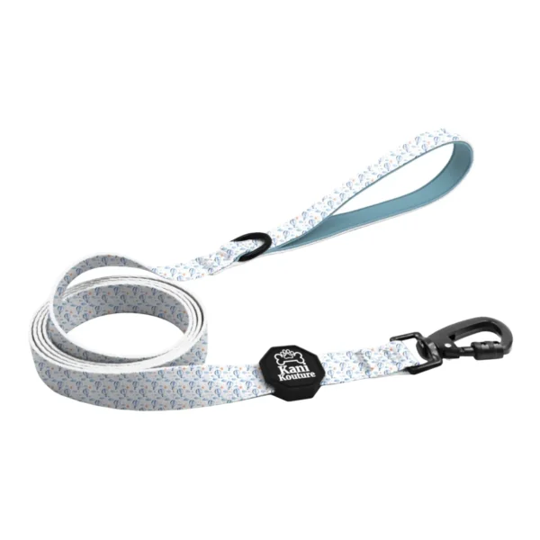 Big Air Leash