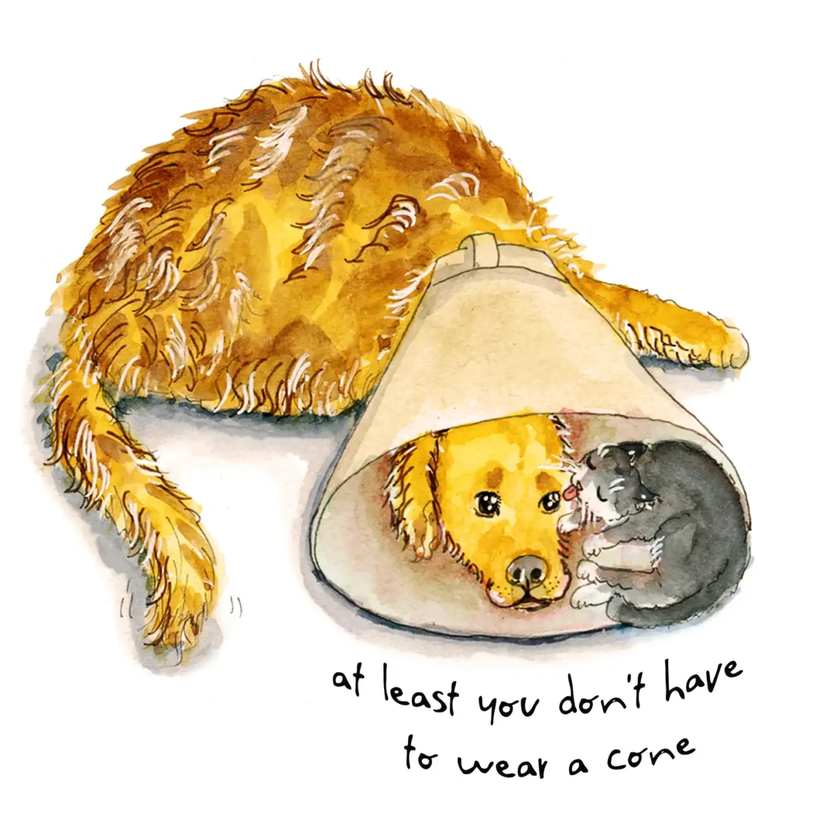 Cone of Shame Dog and Cat - Sympathy Card - Image 3