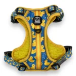 Rubber Ducky - Adventure Harness - Image 2