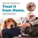 HomeVet Ear Mite Treatment, 2oz - Image 7