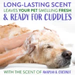 TropiClean Awapuhi & Coconut Whitening Shampoo for Pets, 20oz - Image 7