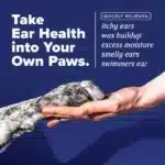 HomeVet Enzymatic Ear Wash, 4oz - Image 5