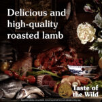 Taste of the Wild Sierra Mountain Roasted Lamb Dog Food - Image 4