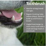 Vet Worthy Pet Toothbrush Set of 3 - Image 2