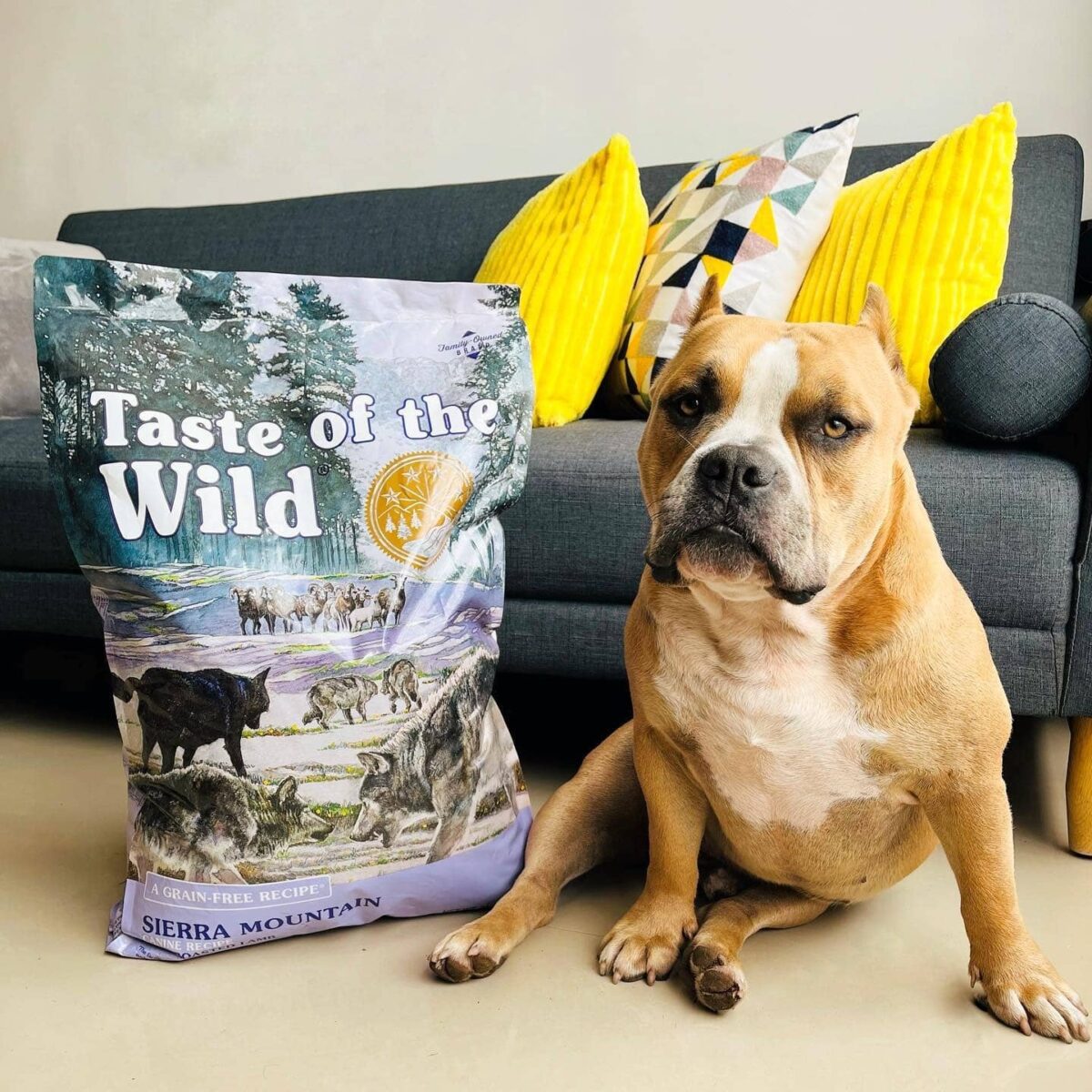 Taste of the Wild Sierra Mountain Roasted Lamb Dog Food - Image 7