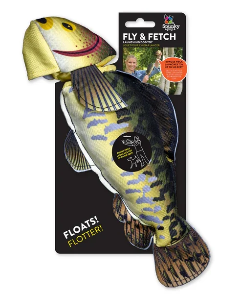 Fly and Fetch Fish Dog Toy