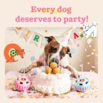 Pupsicle Birthday Refill Pops - PB & Cake Flavor - Image 5