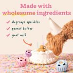 Pupsicle Birthday Refill Pops - PB & Cake Flavor - Image 4