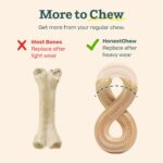 HonestChew Infinity - Image 6