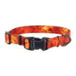 Blazing Shards Inspire Adjustable Fashion Dog Collar