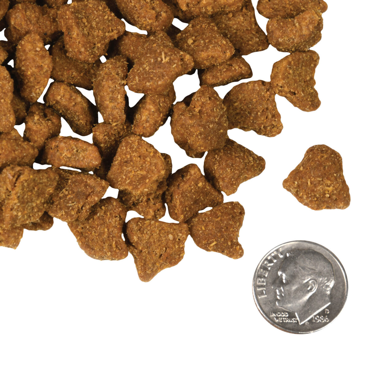 Fromm Zealambder™ Recipe Dog Food - Image 7