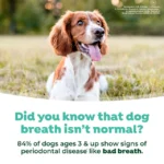 TropiClean Fresh Breath Oral Care Spray for Pets - Image 6